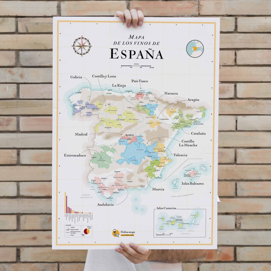 Affiche - Carte des vins d'Espagne - 50 x 70 cm carte murale petit tube La carte des vins 