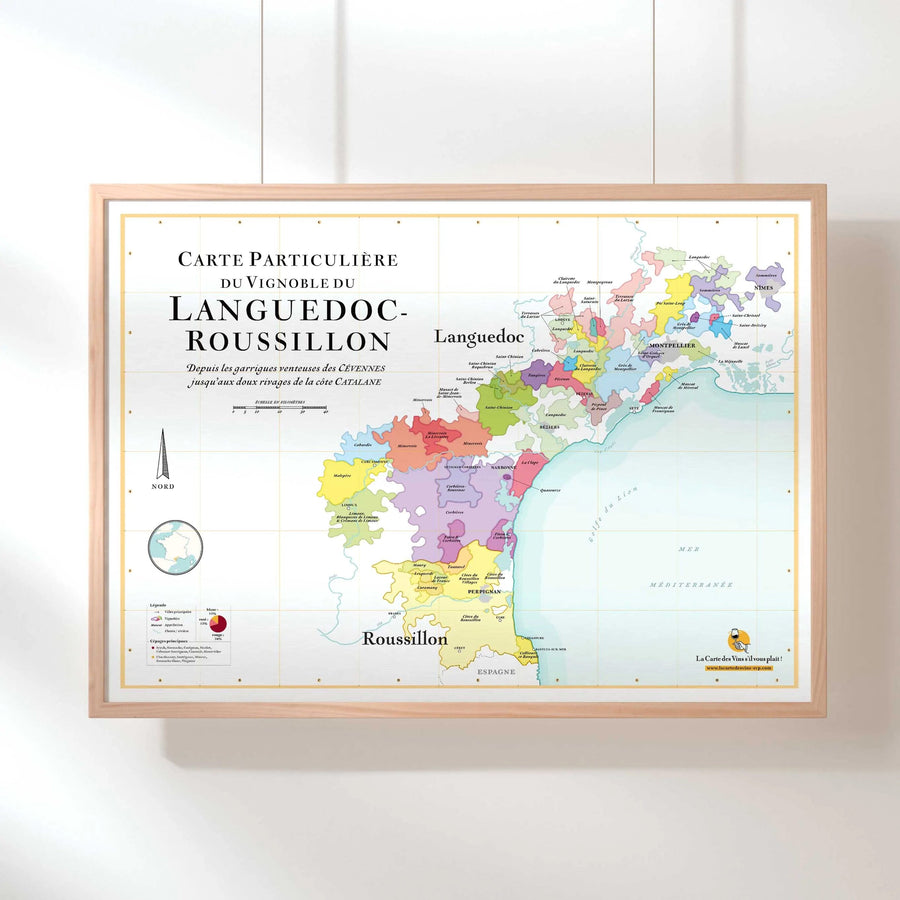 Affiche - Carte des vins du Languedoc-Rousillon - 50 x 70 cm carte murale petit tube La carte des vins 