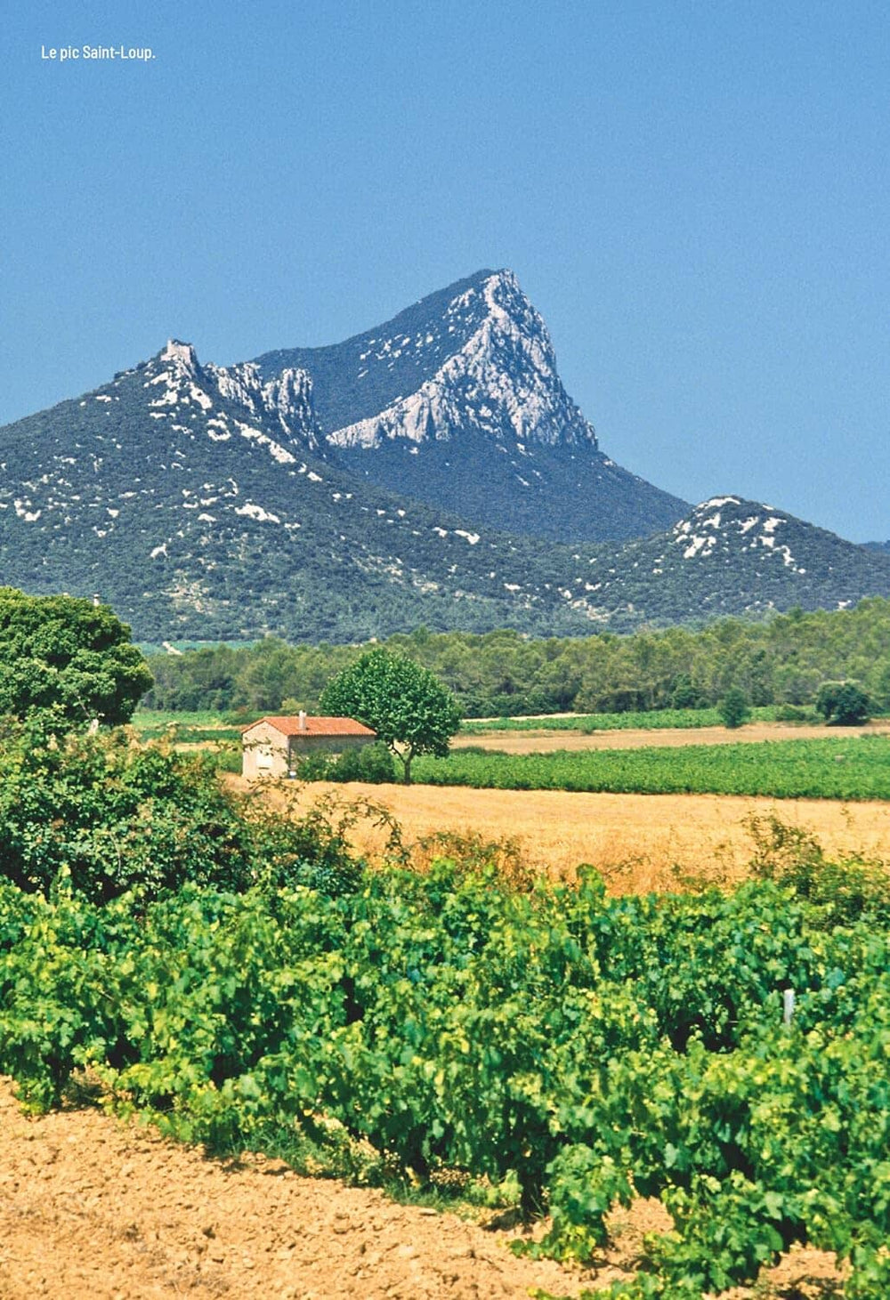 Guide de promenades - Hérault | Rando Editions - Les Sentiers d'Emilie guide de randonnée Rando Editions 