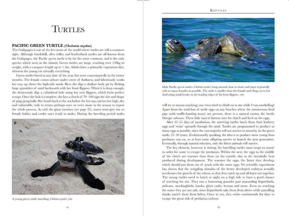Guide de voyage (en anglais) - Galapagos Wildlife | Bradt guide de voyage Bradt 