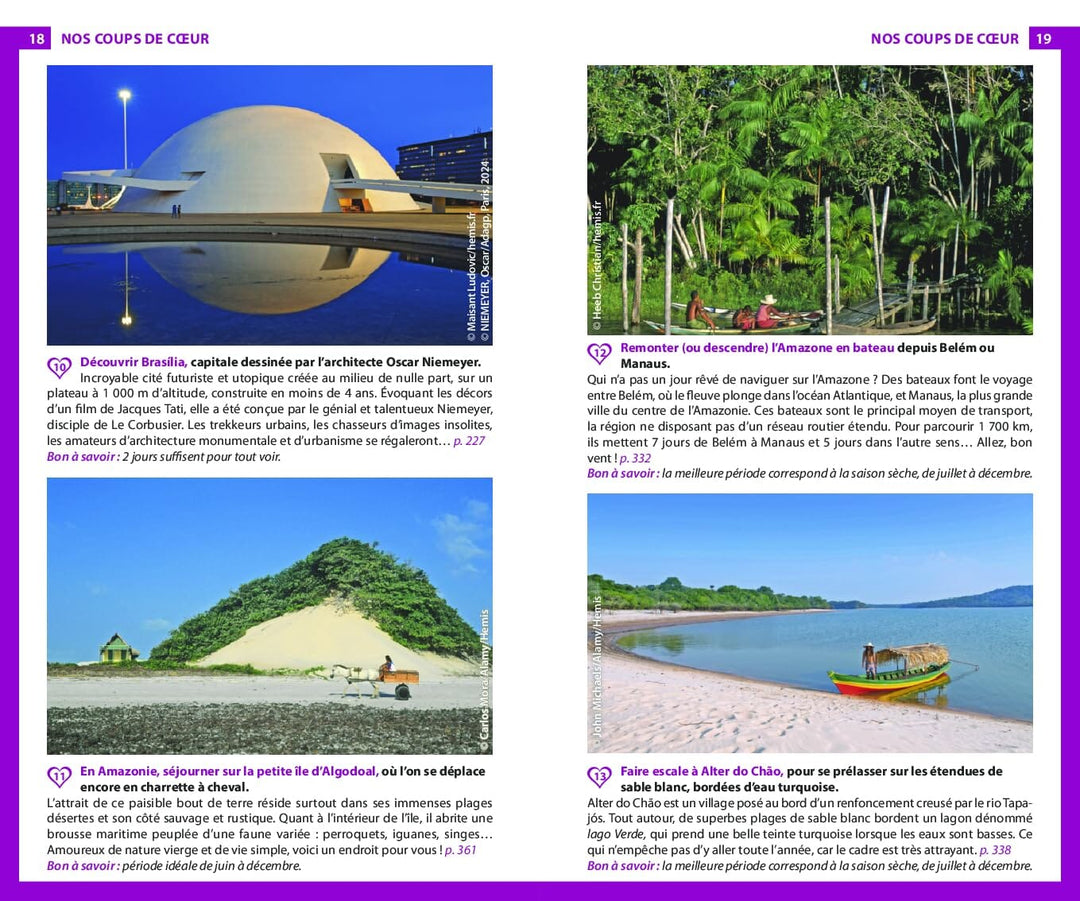 Guide du Routard - Brésil 2024/25 | Hachette guide de voyage Hachette 