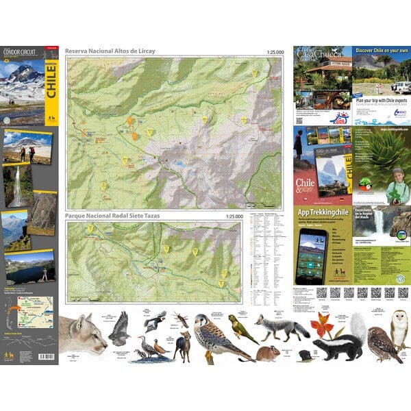 Carte de trekking du circuit Condor | Trekking Chile carte pliée Trekking Chile 