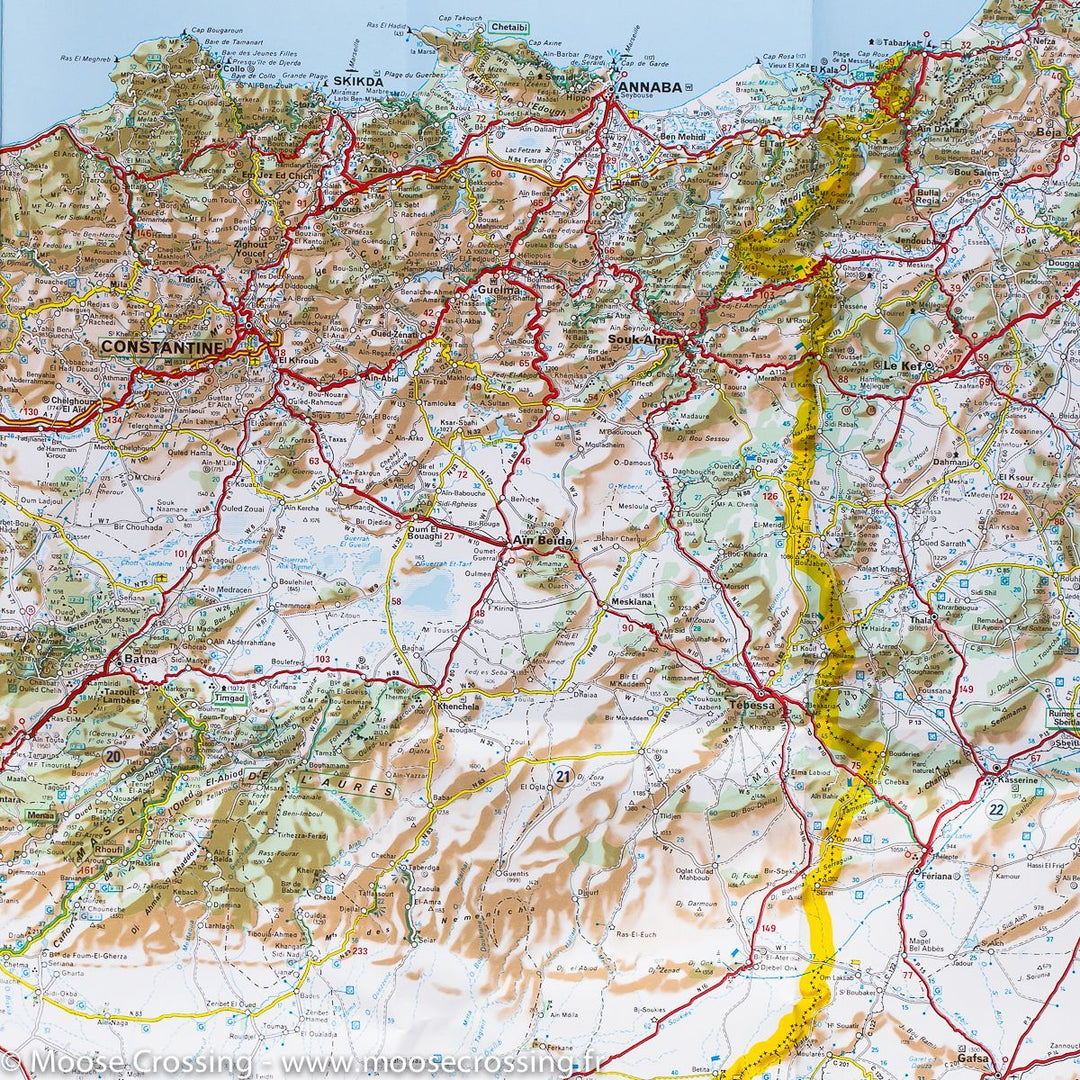 Carte routière de l'Algérie &amp; Tunisie | Michelin - La Compagnie des Cartes