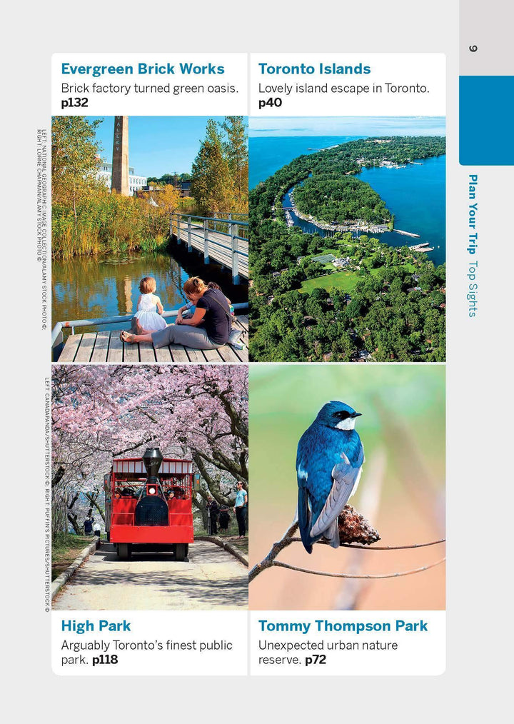 Guide de voyage de poche (en anglais) - Toronto | Lonely Planet guide de conversation Lonely Planet 