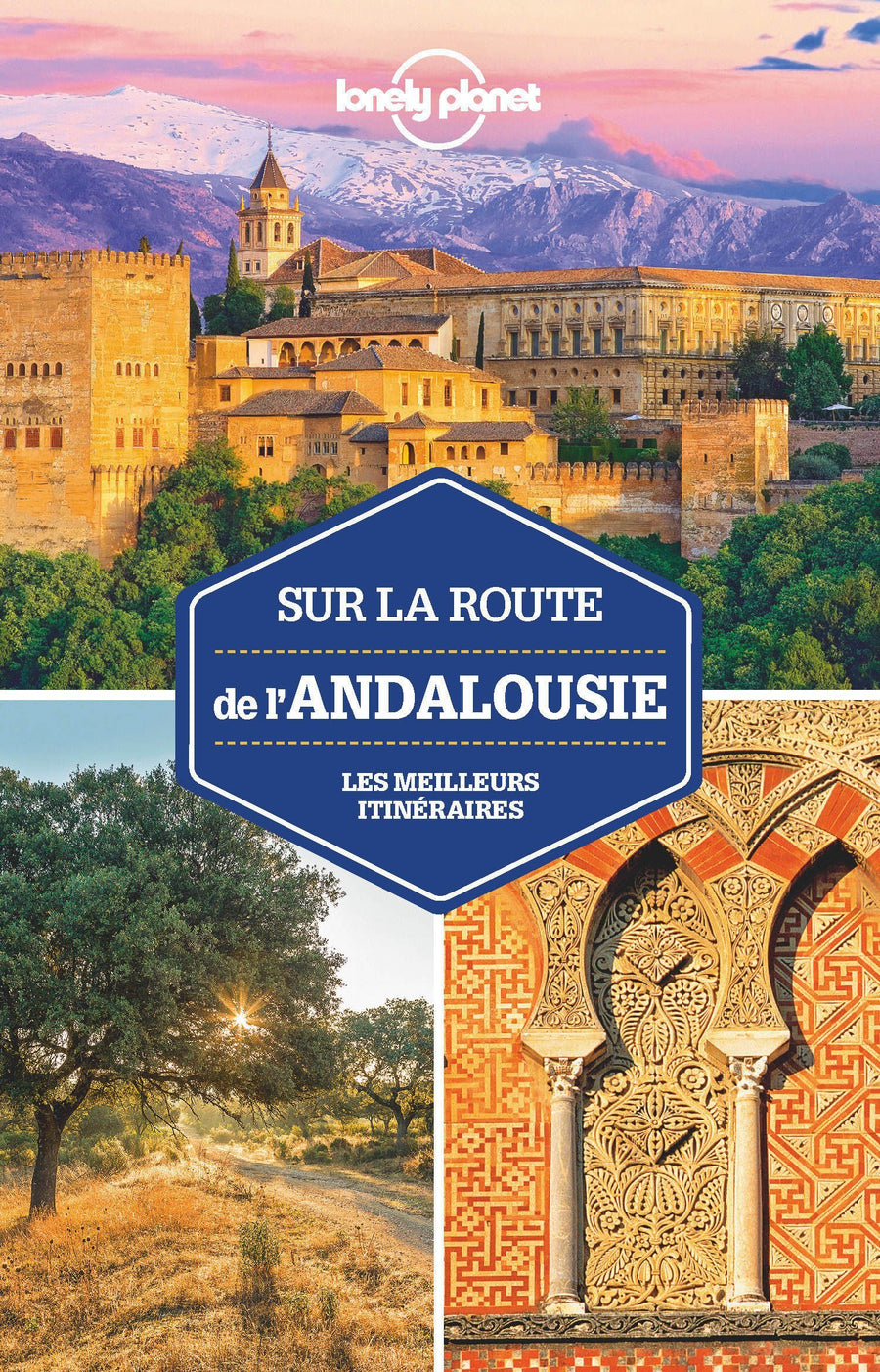 Guide de voyage - Sur la route de l'Andalousie - Édition 2021 Lonely Planet guide de voyage Lonely Planet 