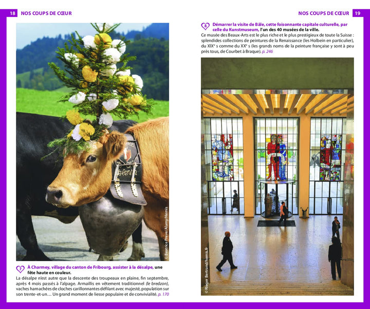 Guide du Routard - Suisse 2022/23 | Hachette guide de voyage Hachette 