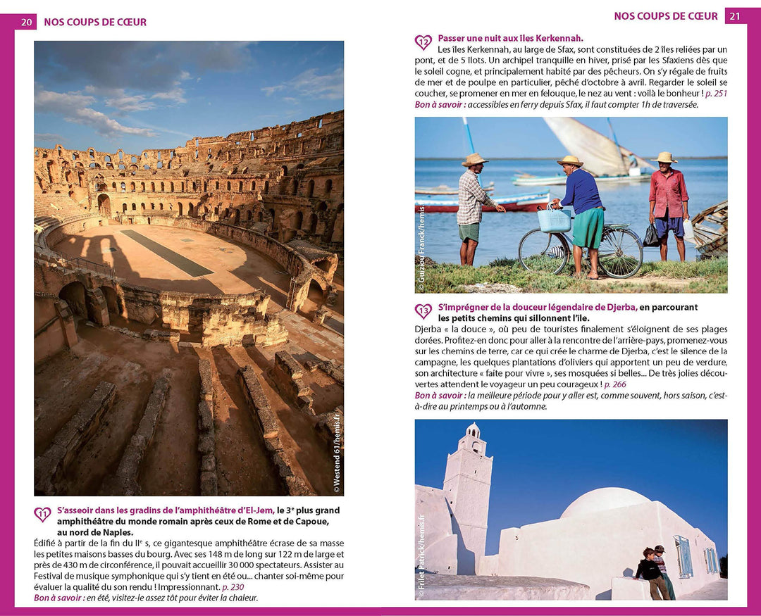 Guide du Routard - Tunisie 2021/22 | Hachette guide de voyage Hachette 