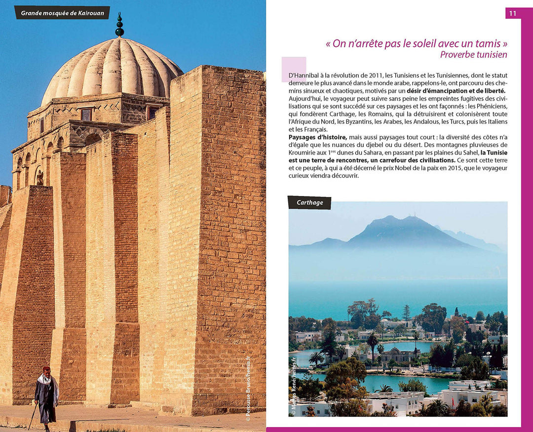 Guide du Routard - Tunisie 2021/22 | Hachette guide de voyage Hachette 